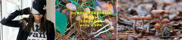 MESCALINE Абинск