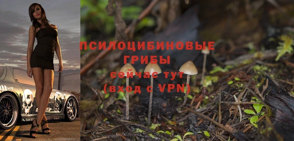 СК Абдулино