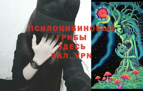 тгк Абаза