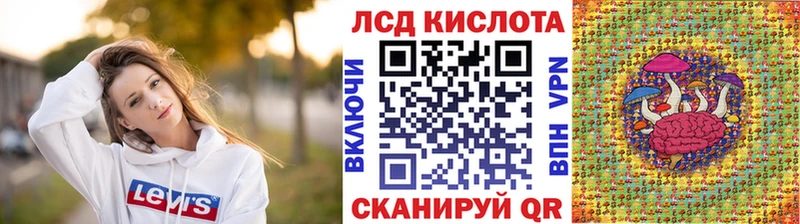 дарнет шоп  Новотроицк  Марки NBOMe 1500мкг 