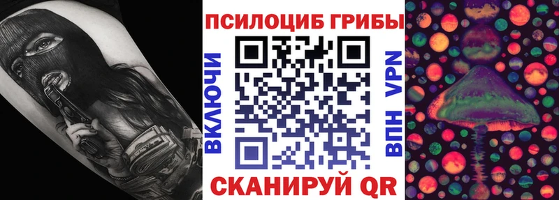 Галлюциногенные грибы Psilocybe  Новотроицк 