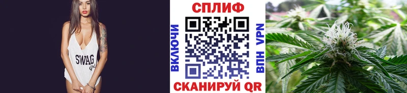 где можно купить наркотик  Новотроицк  Канабис Bruce Banner 